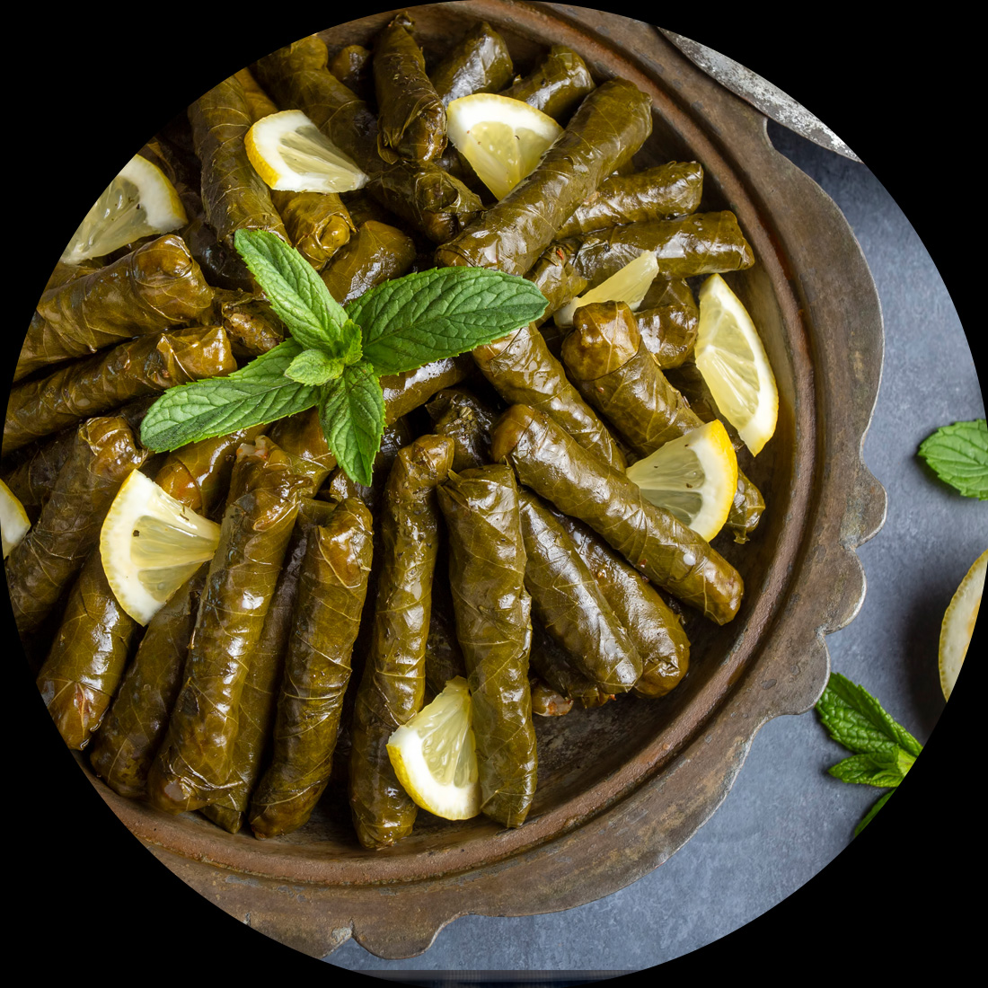 sarma_feuillesdevigne_strasbourg